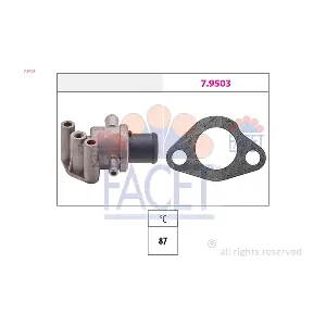 FACET 7.8109