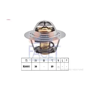 FACET 78322S