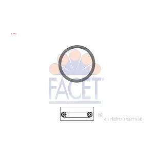 7.9660 FACET