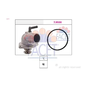 7.8174 FACET