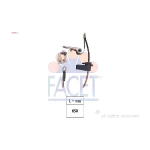 1.3691/5 FACET