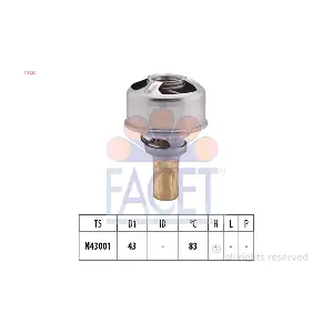 78226 FACET
