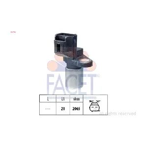 9.0490 FACET