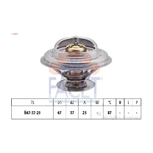 FACET 7.8256S