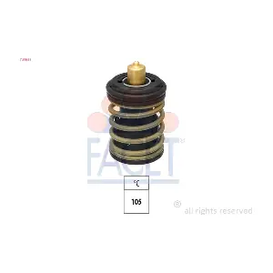 7.8955S FACET