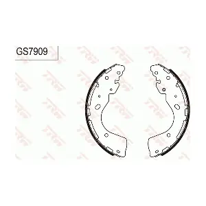 GS7909 TRW