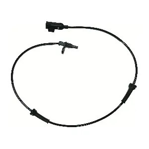 T4A12595 JAGUAR