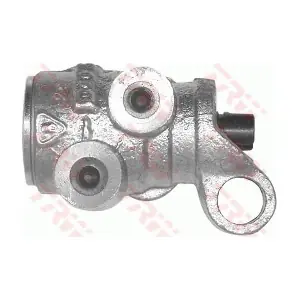 TRW GPV1078