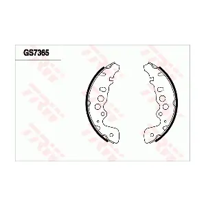 TRW GS7365