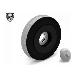 VAICO V22-0423