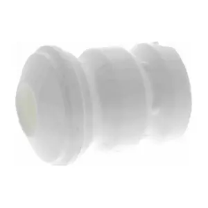 VAICO V20-6100-1