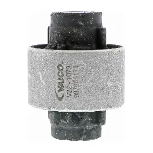 V221079 VAICO