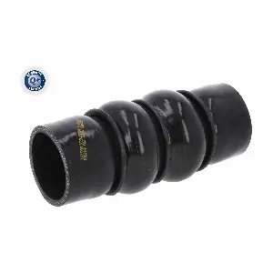VAICO V22-1170