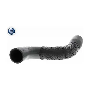 V10-3831 VAICO