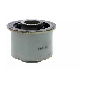 V95-0069 VAICO