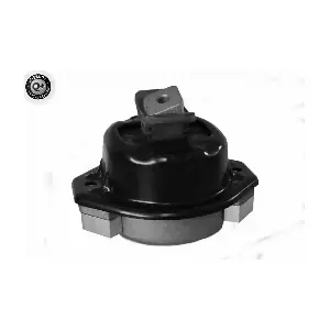 V20-0597 VAICO