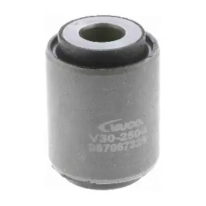 V302504 VAICO