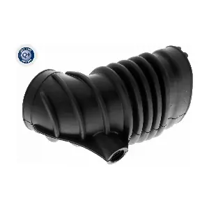 VAICO V20-0113