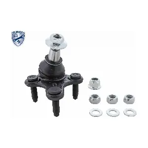 VAICO V10-0636