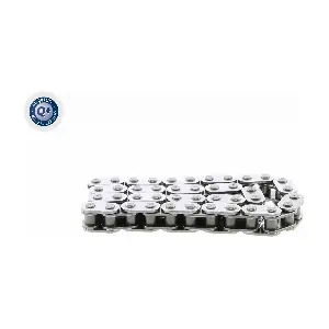 V10-1020 VAICO
