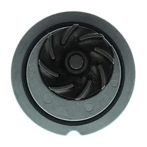AISIN WPO-011