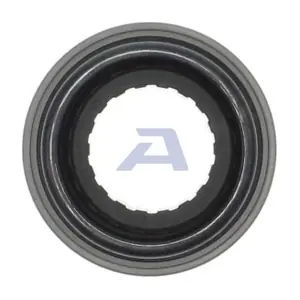 BK002 AISIN