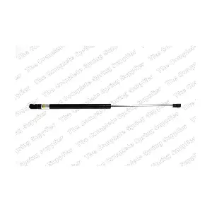 8195044 LESJOFORS