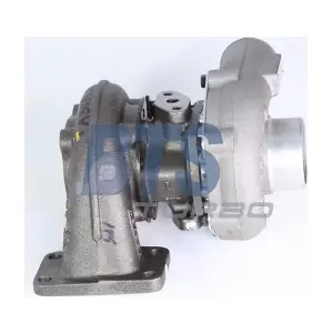 311421 BorgWarner