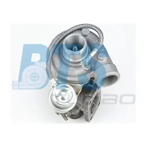 312196 BorgWarner