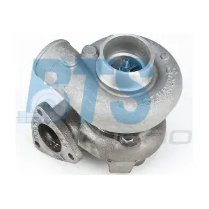 313377 BorgWarner