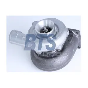 310075 BorgWarner