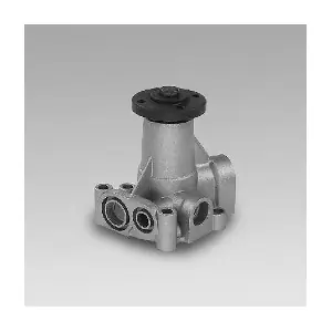 P055 HEPU