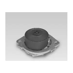 P1041 HEPU
