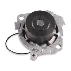 HEPU P1045