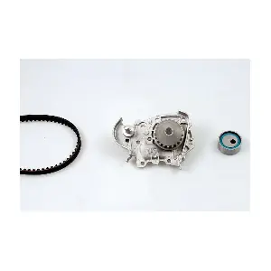 HEPU PK08491