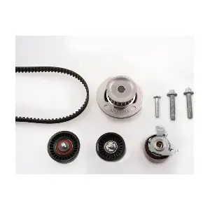 PK03171 HEPU