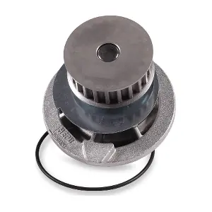 HEPU P398