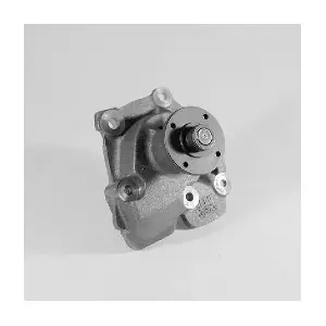 HEPU P219