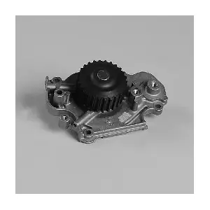 P7816 HEPU