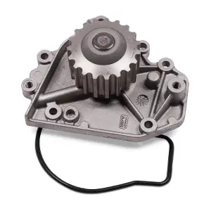 P7817 HEPU