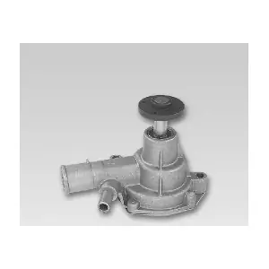 P7794 HEPU