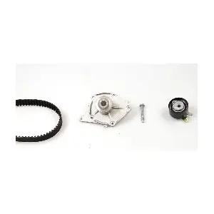 PK09581 HEPU