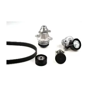 PK09072 HEPU