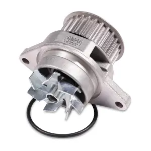 HEPU P556