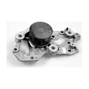 P7741 HEPU