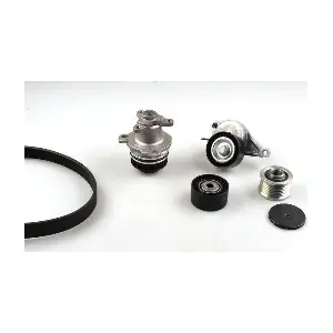 PK09642 HEPU