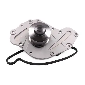 P1733 HEPU
