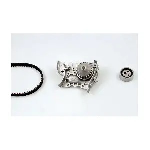 PK09310 HEPU