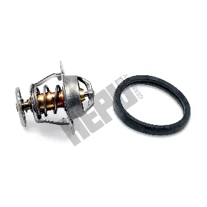 HEPU TM1316