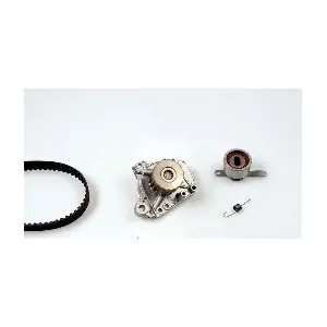 PK07831 HEPU